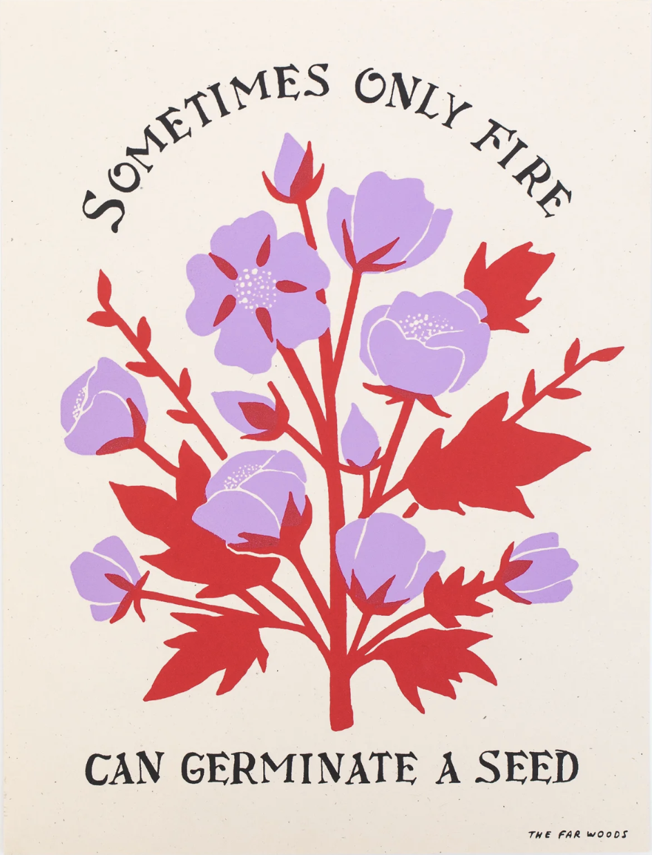 Sometimes Only Fire Can Germinate a Seed