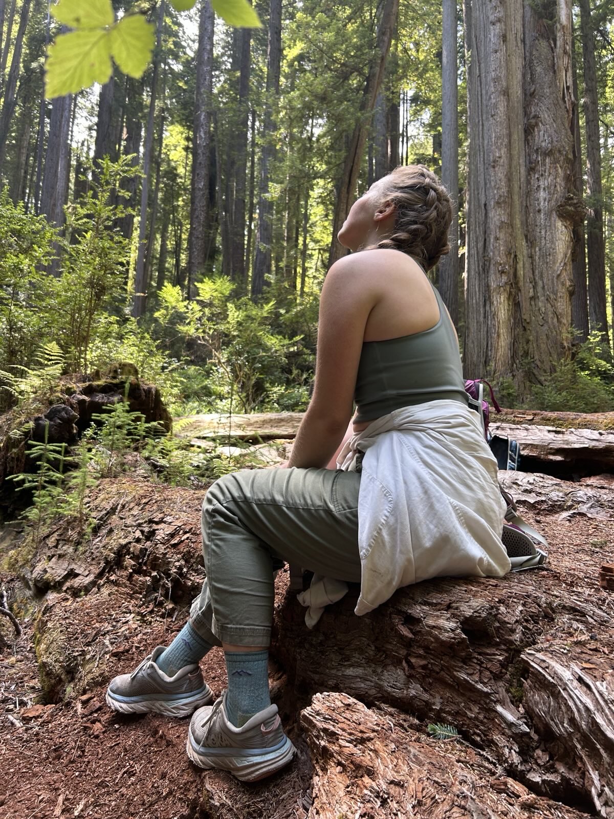A picture of me hanging out with some Redwoods in Northern California